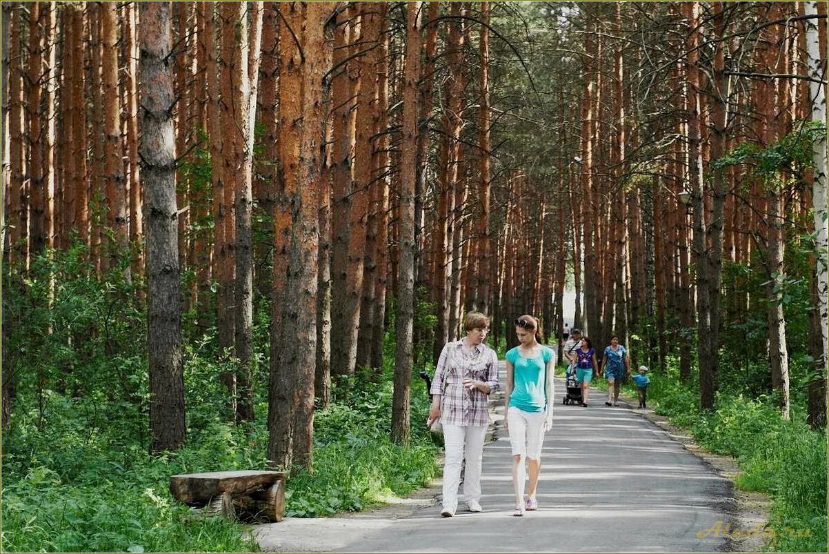 Челябинская область: отдых в сосновом лесу