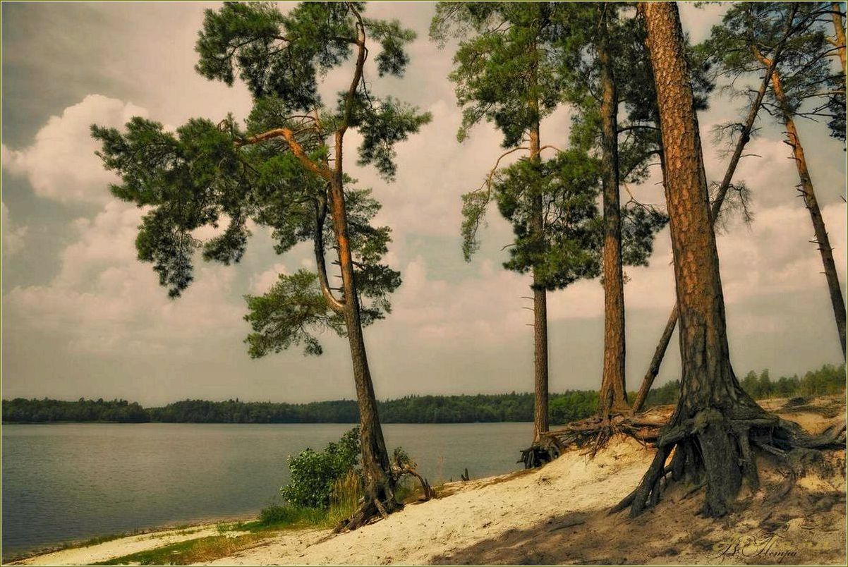 Челябинская область: отдых в сосновом лесу