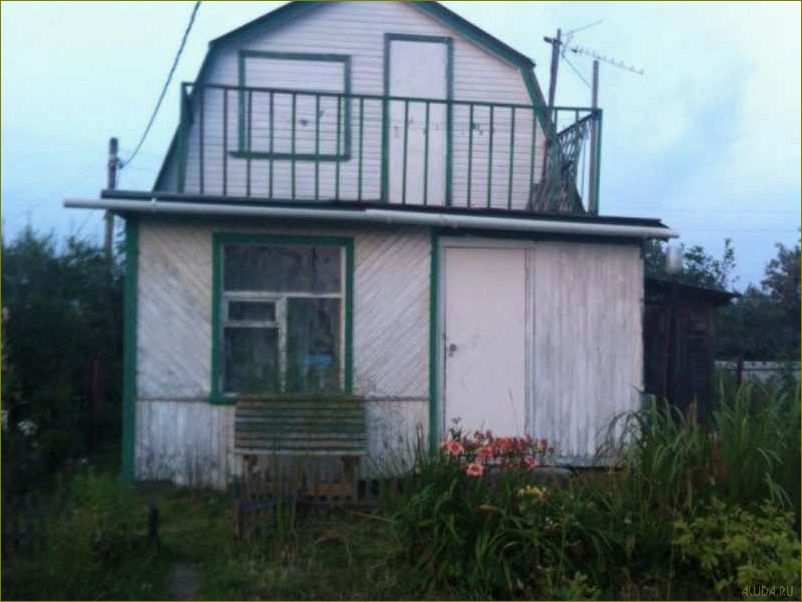 Уникальное место для отдыха в Александрове Владимирской области — дом отдыха, окруженный живописной природой и богатыми историческими достопримечательностями