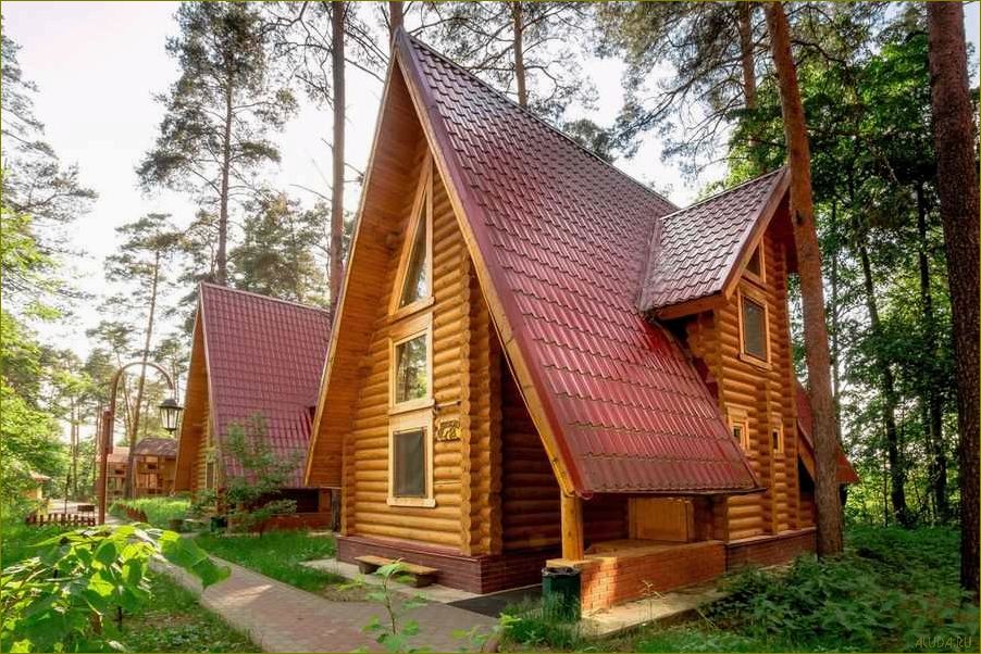 Идеальное место для отдыха во Владимирской области — уютный дом в окружении соснового бора