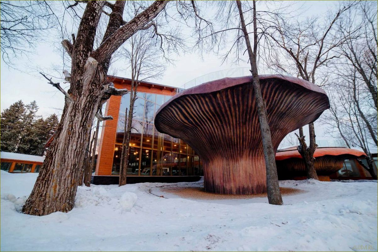 Лучшие дома отдыха в Солнечногорске Московской области — идеальный отдых для всей семьи!