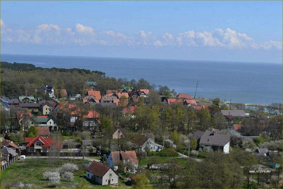 Калининградская область — идеальное место для отдыха в рыбацком поселке среди прекрасной природы