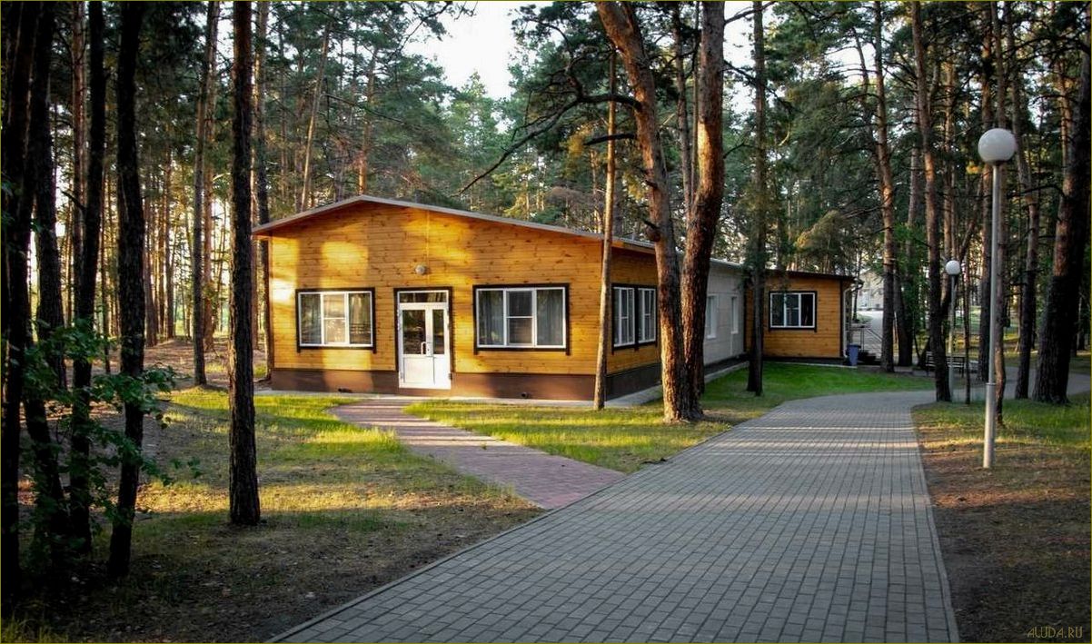 Лагеря отдыха в Курганской области — идеальное место для активного и разнообразного летнего отдыха с комфортом и безопасностью