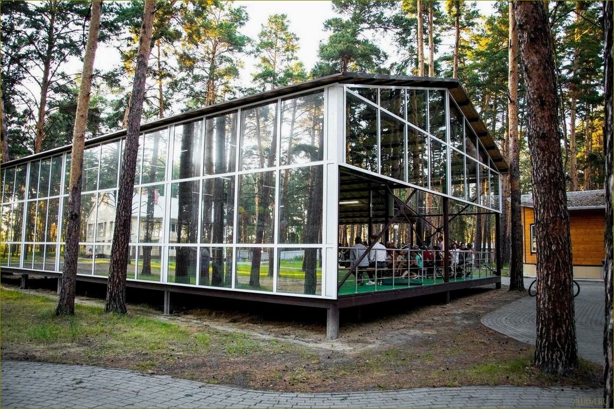 Лагеря отдыха в Курганской области — идеальное место для активного и разнообразного летнего отдыха с комфортом и безопасностью