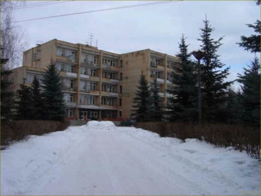 Отдых в Монино — наслаждайтесь природой Московской области в живописном городке