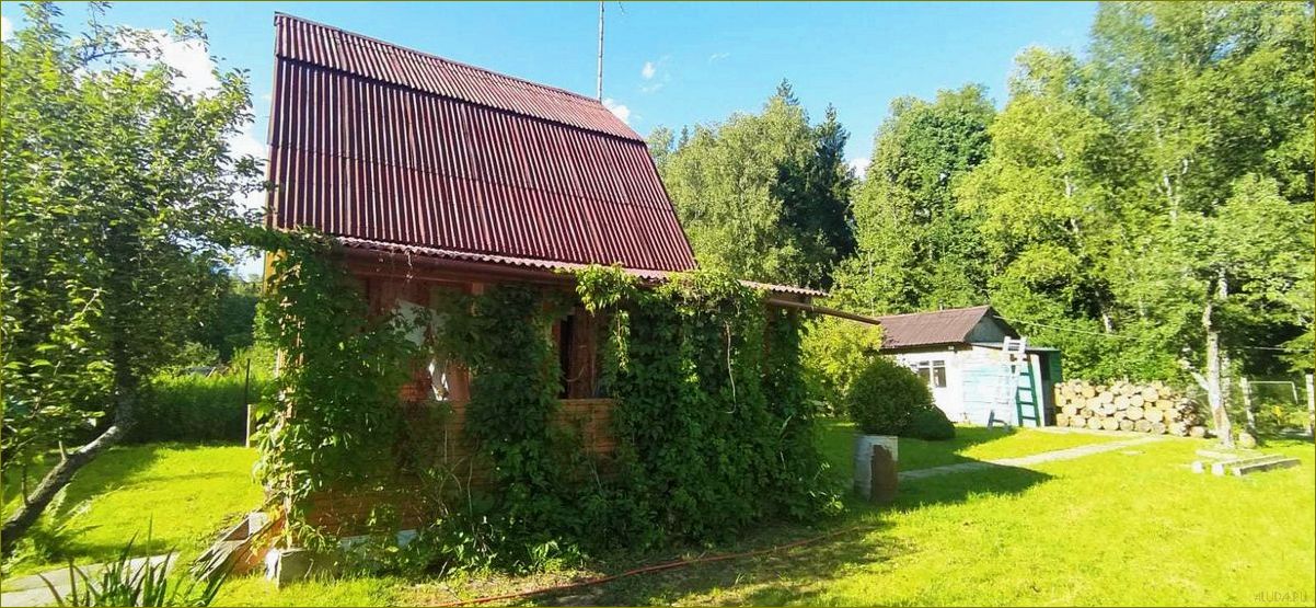 Московская область — садовое товарищество — идеальное место для отдыха и релаксации