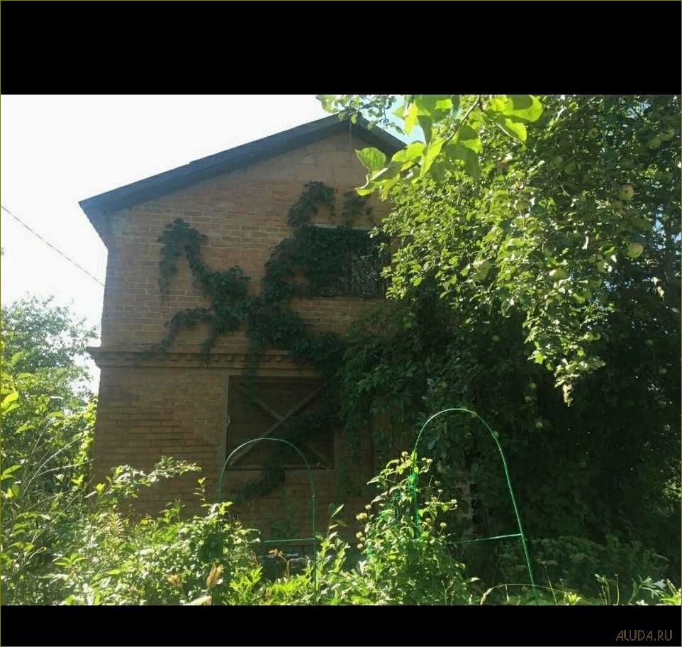 Московская область — садовое товарищество — идеальное место для отдыха и релаксации