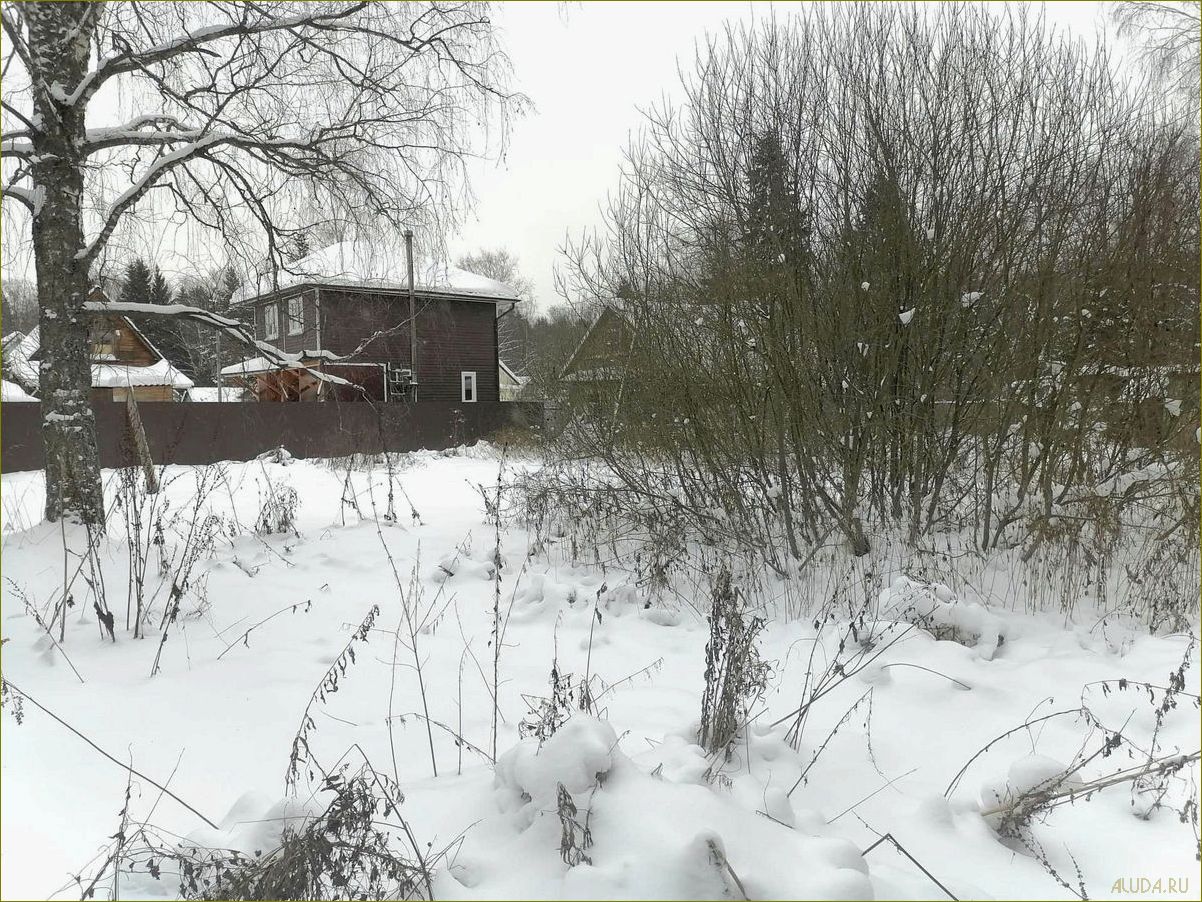 Московская область — садовое товарищество — идеальное место для отдыха и релаксации