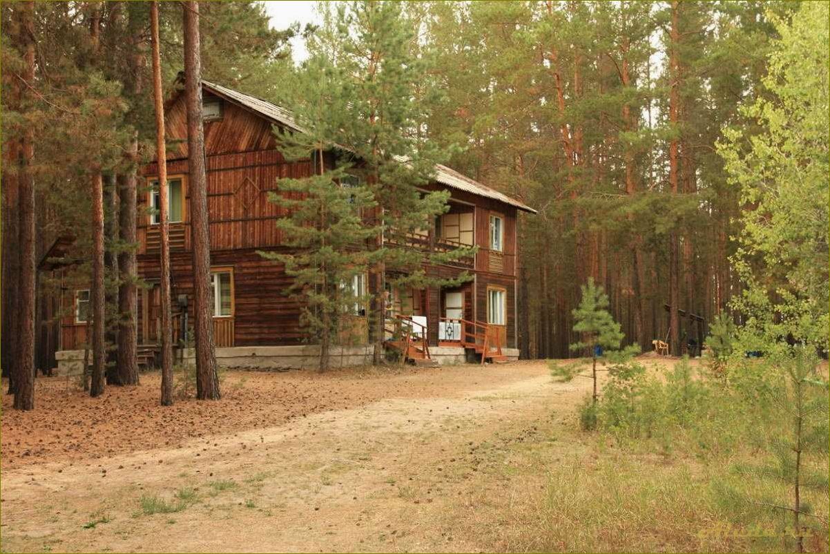 Новосибирская область — идеальное место для охотников, где можно насладиться природой и улучшить свои навыки в охоте