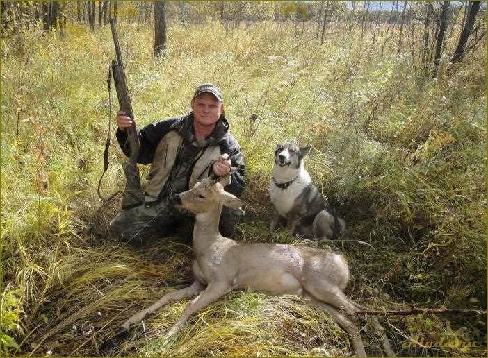 Новосибирская область — идеальное место для охотников, где можно насладиться природой и улучшить свои навыки в охоте