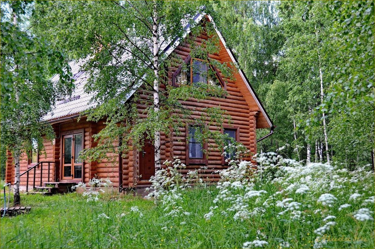 Отдых в бане в Новгородской области — идеальное место для релаксации и восстановления сил