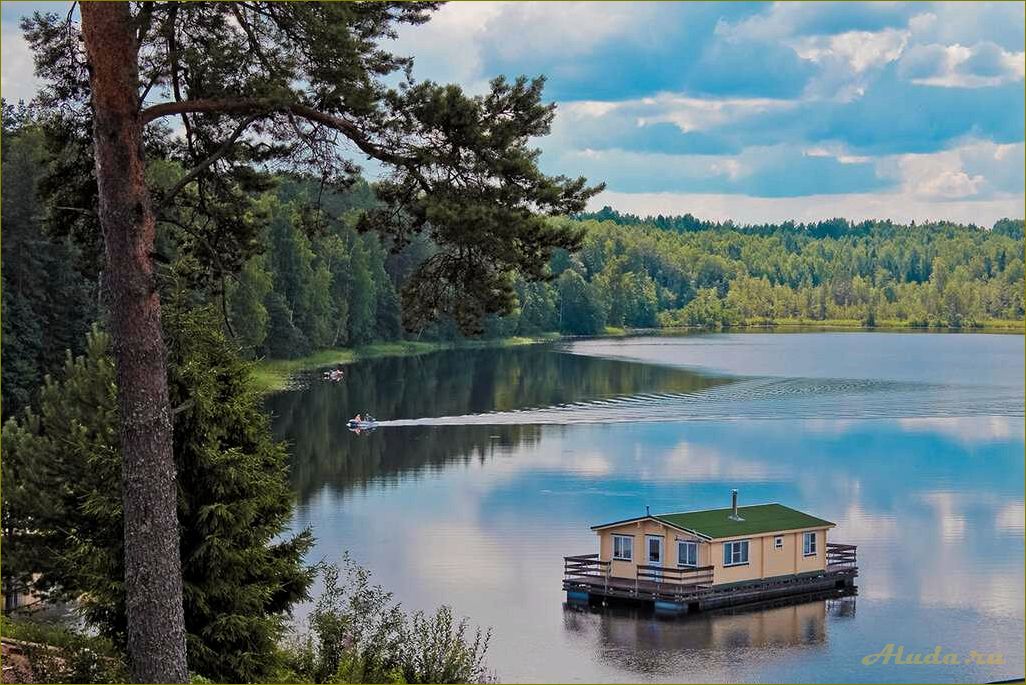 Отдых в бане в Новгородской области — идеальное место для релаксации и восстановления сил