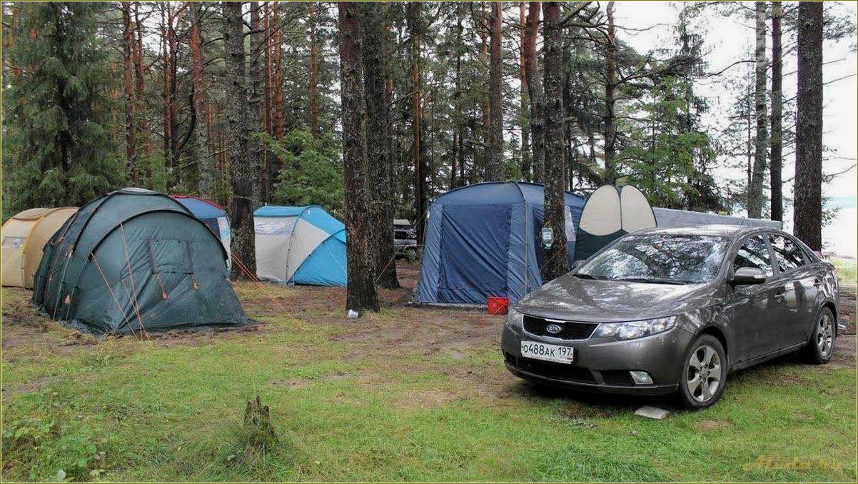 Отдых дикарем по смоленской области