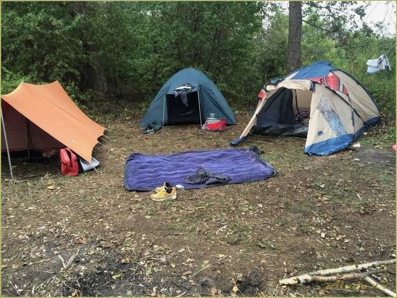 Отдых дикарем по смоленской области