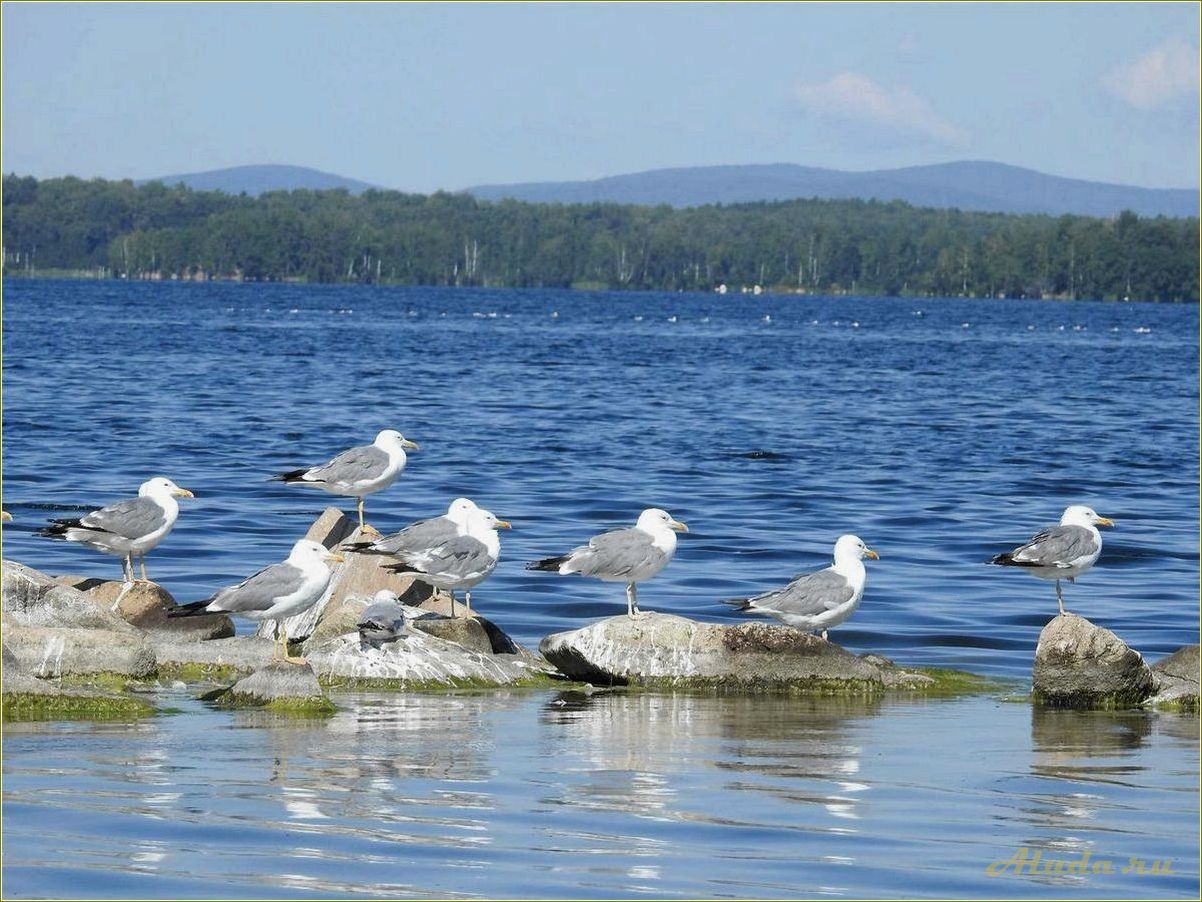 Отдых в Кузнецком, Челябинская область: лучшие места для отдыха и развлечений