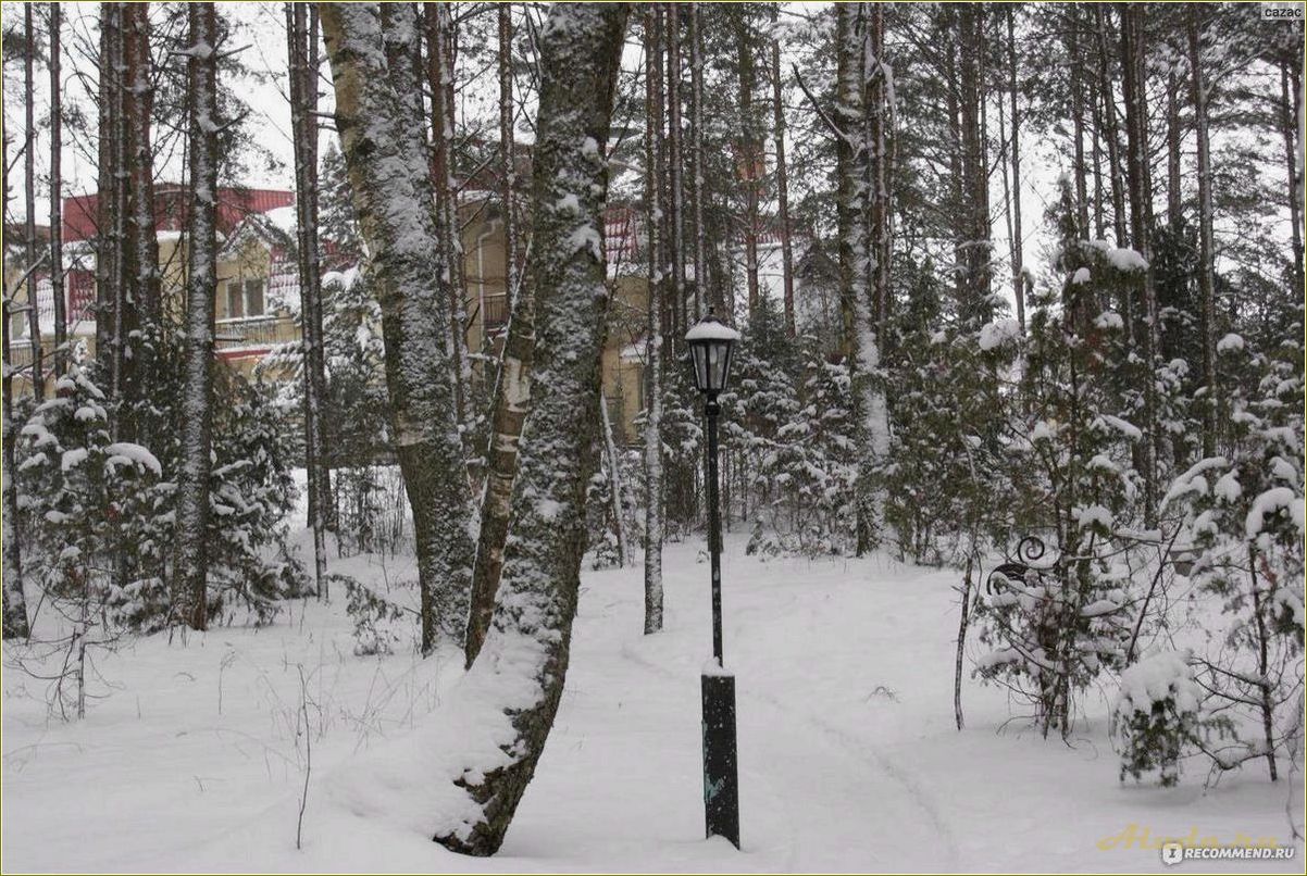 (отдых, базе, кривска, псковской, области) Отдых на базе Кривска Псковской области — лучшие варианты для активного и спокойного отдыха