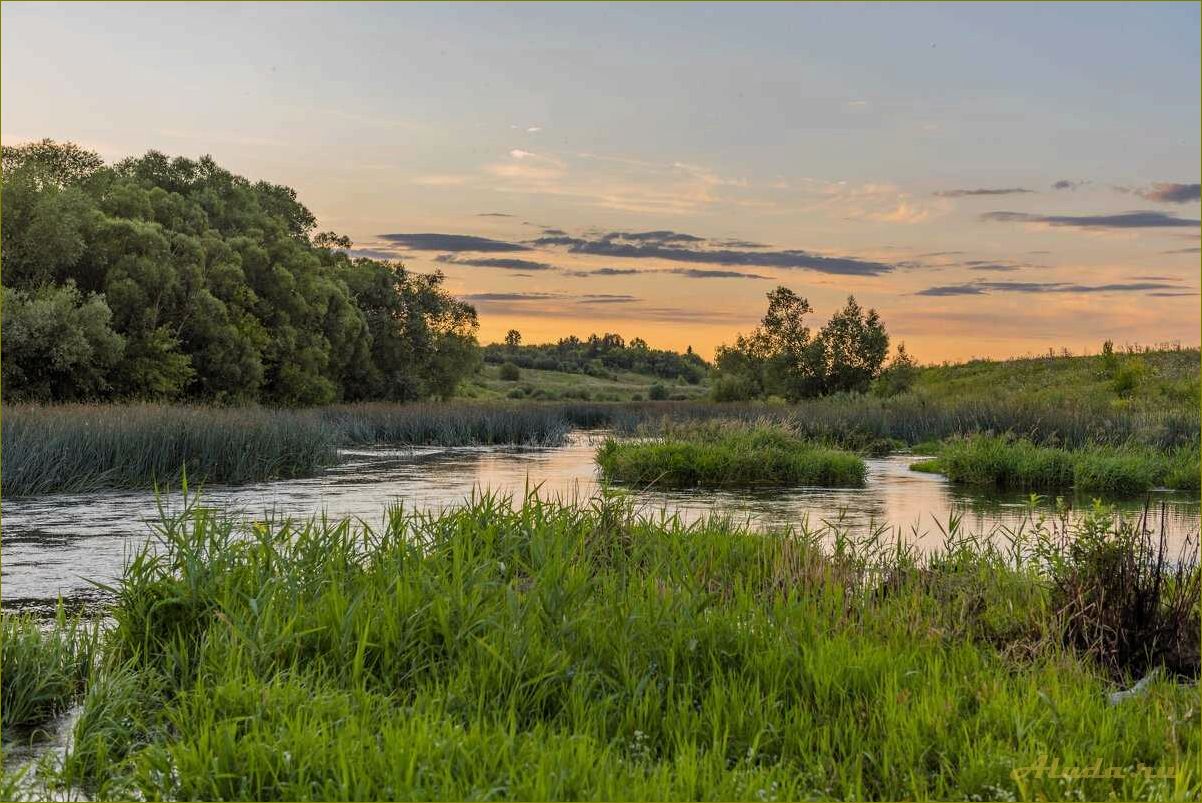 Отдых на океане — прекрасная Орловская область ждет вас!