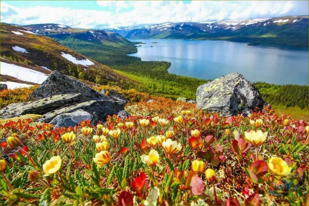 (отдых, природе, мурманской, области, красота) Отдых на природе Мурманской области — красота северных ландшафтов и уникальные природные достопримечательности