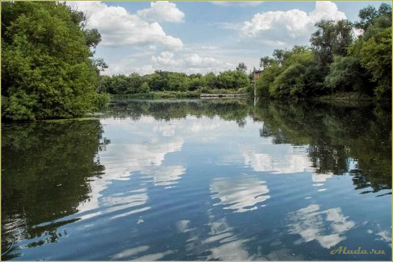 Отдых на пруду Тамбовской области