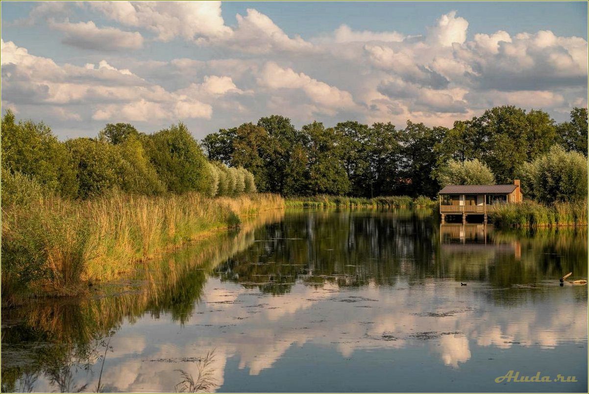 Отдых на пруду Тамбовской области