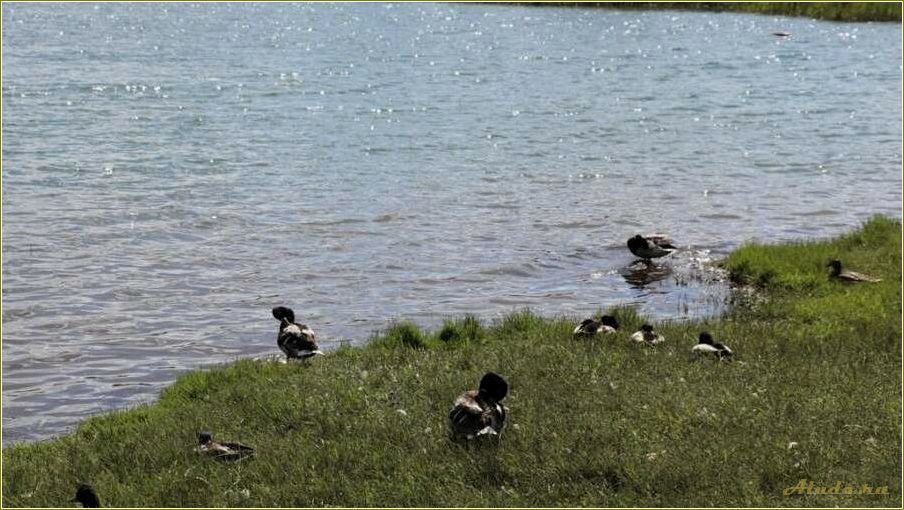 Отдых на пруду Тамбовской области