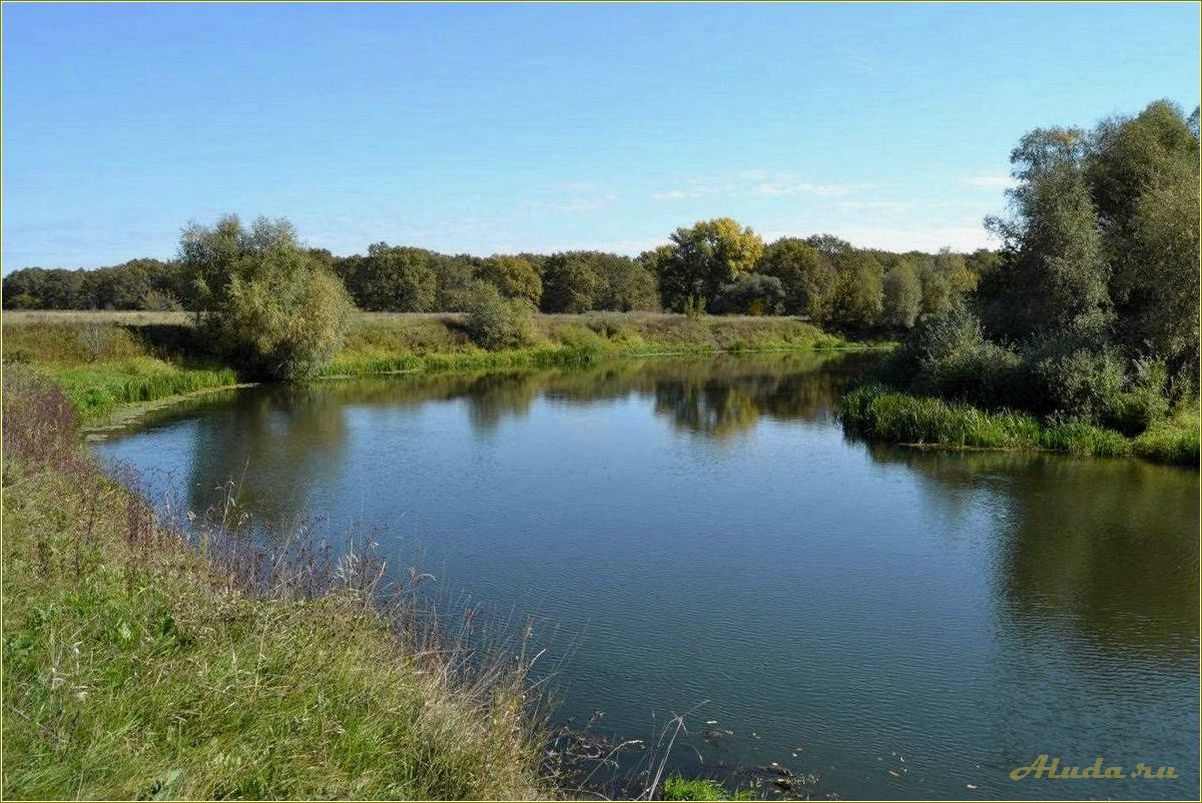 Отдых на пруду Тамбовской области