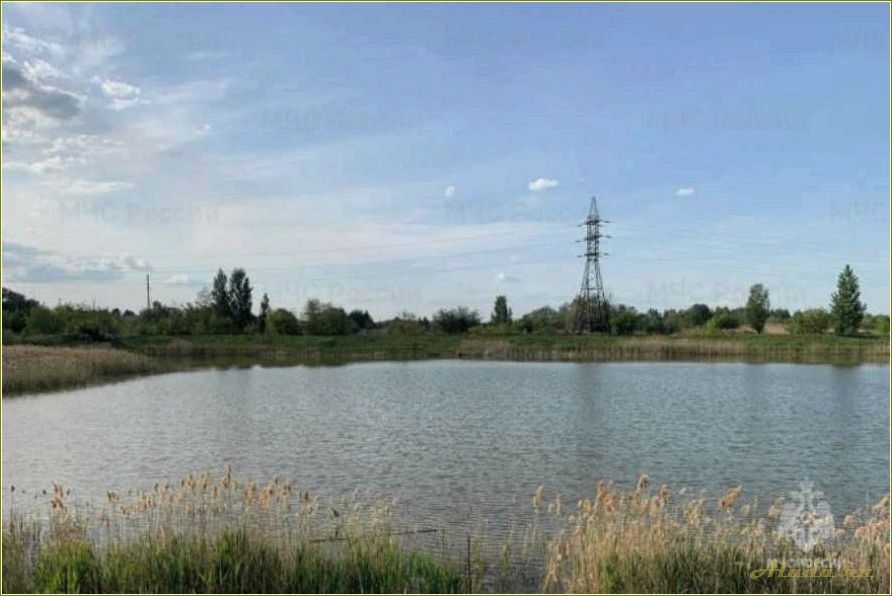 Отдых на пруду Тамбовской области