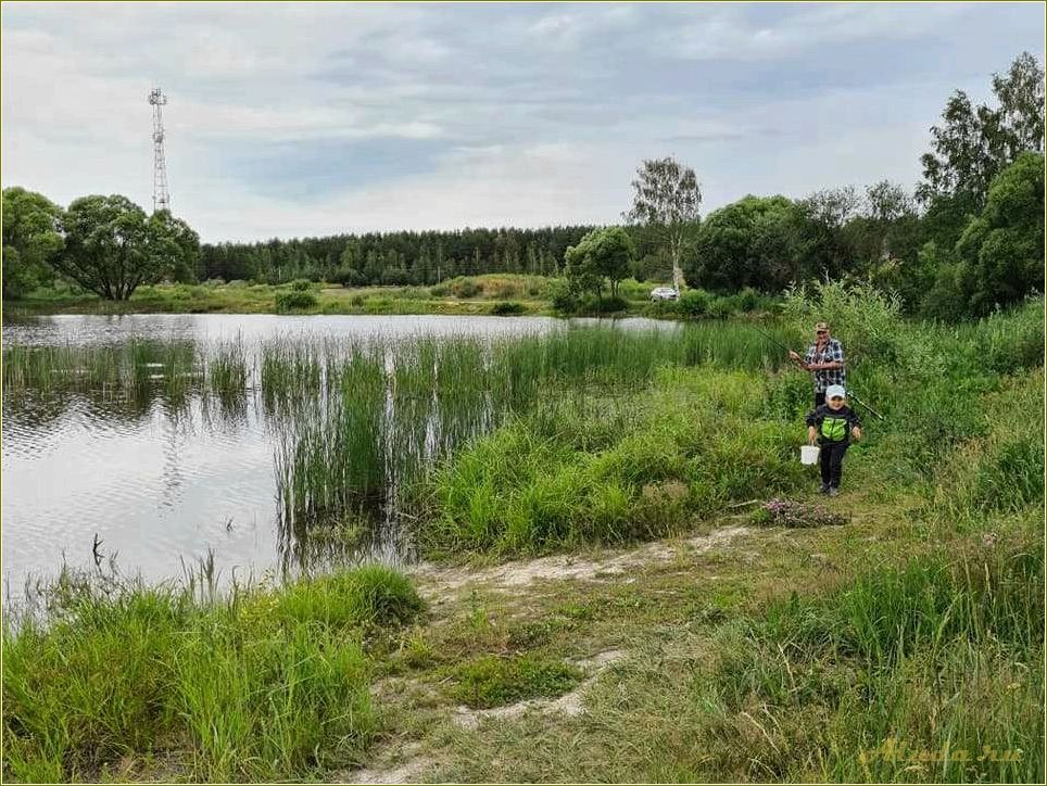 Отдых на пруду Тамбовской области