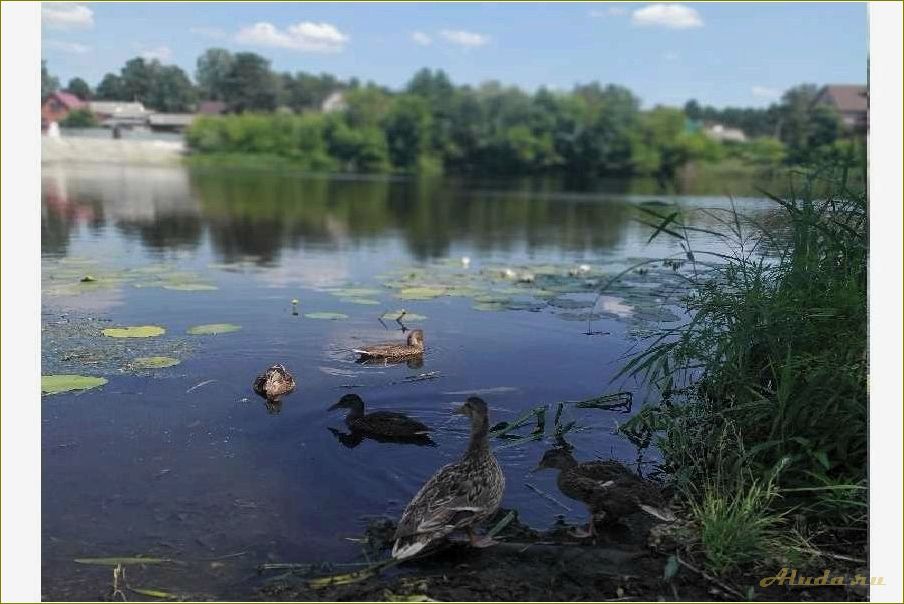 Отдых на пруду Тамбовской области