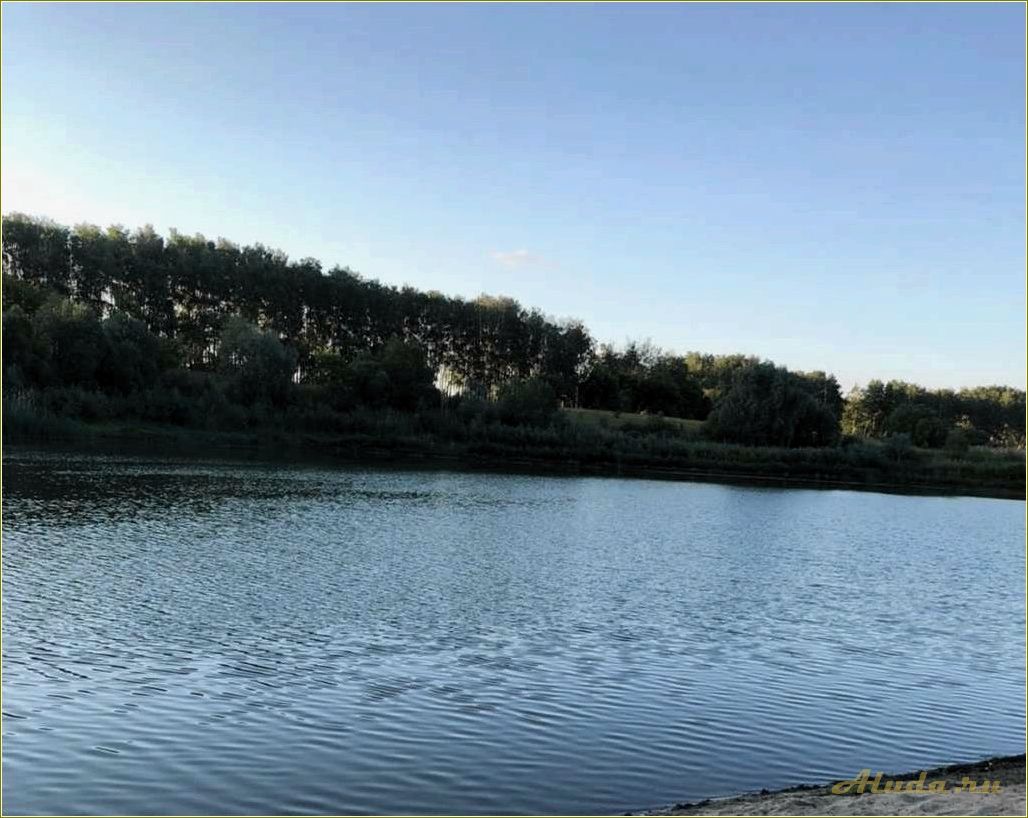 Отдых на пруду Тамбовской области