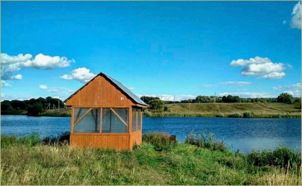 Отдых на рыболовных базах в Рязанской области — идеальное место для любителей рыбалки и природы