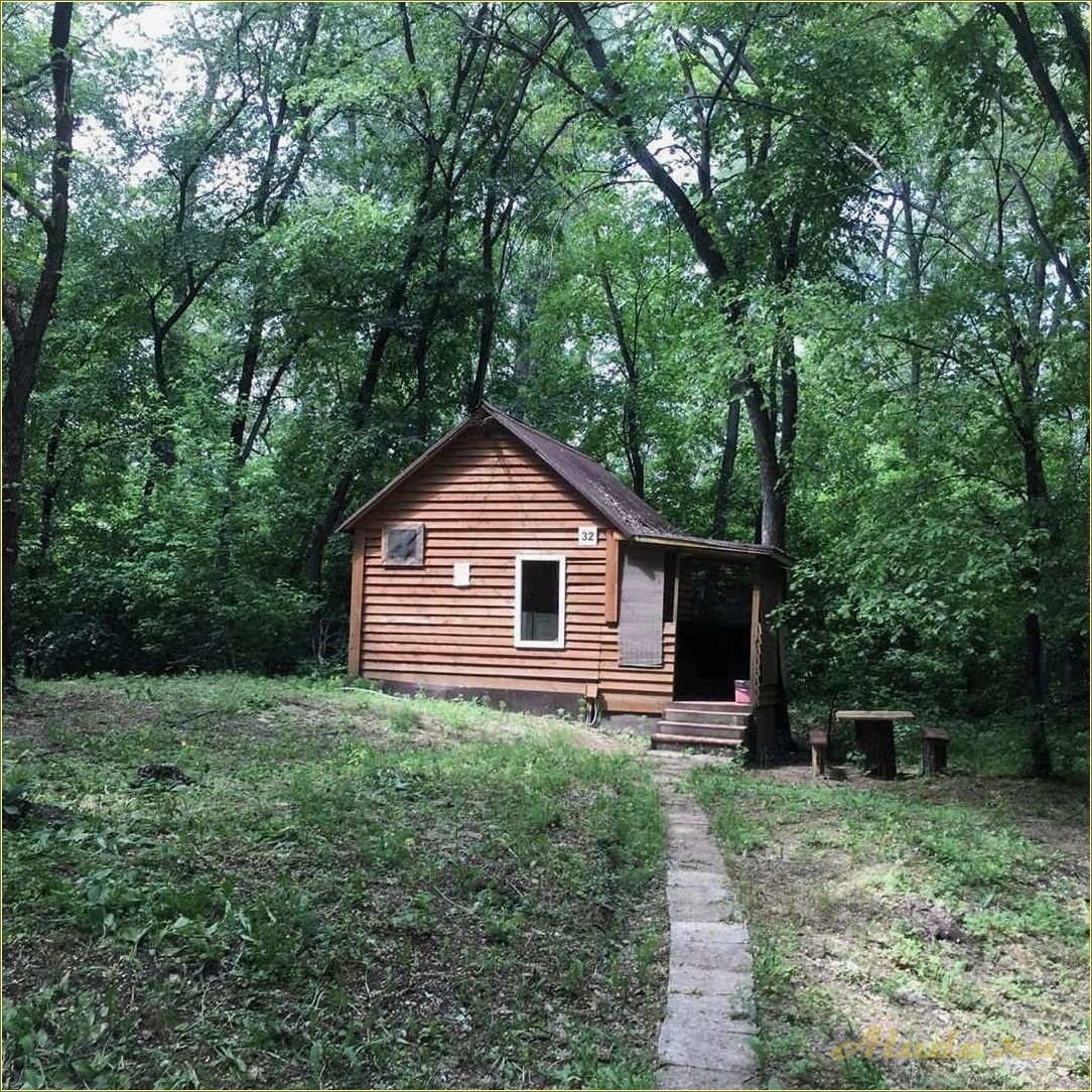 (отдых, волге, самарской, области, впечатления) Отдых на Волге в Самарской области — впечатления туристов и отзывы