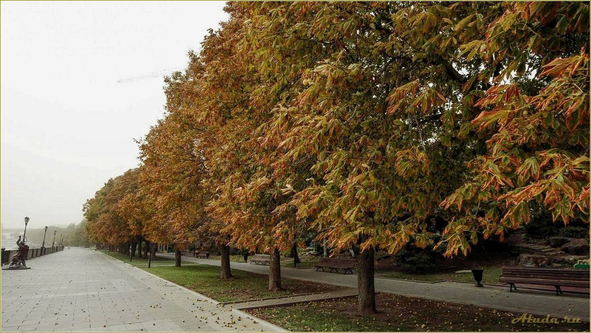 (волшебная, осень, ростовской, области, отдых) Волшебная осень в Ростовской области — отдых, красоты природы и яркие краски