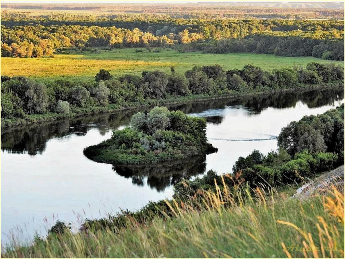 (волшебная, осень, ростовской, области, отдых) Волшебная осень в Ростовской области — отдых, красоты природы и яркие краски