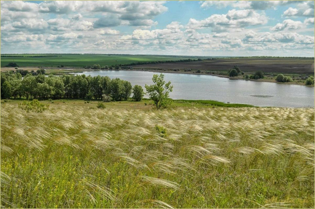 (волшебная, осень, ростовской, области, отдых) Волшебная осень в Ростовской области — отдых, красоты природы и яркие краски