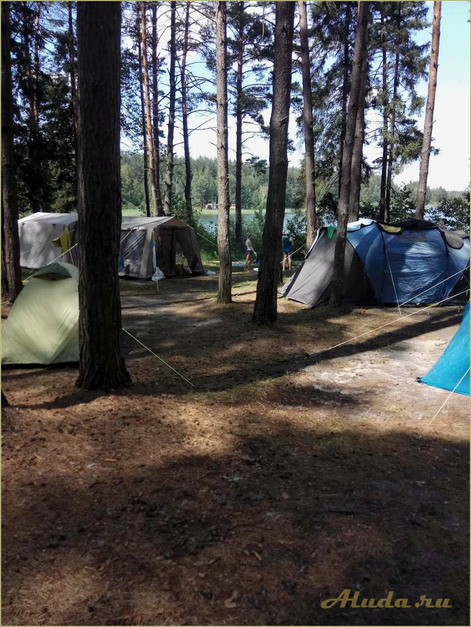 Природный отдых в палатке в Рязанской области — лучшие места для уединенного отдыха на природе