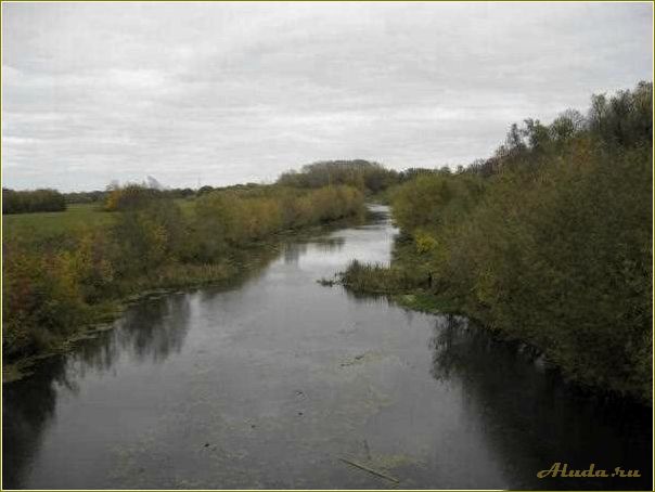 Рыбные просторы Рязанской области — отдых на природе, рыбалка и отличные впечатления
