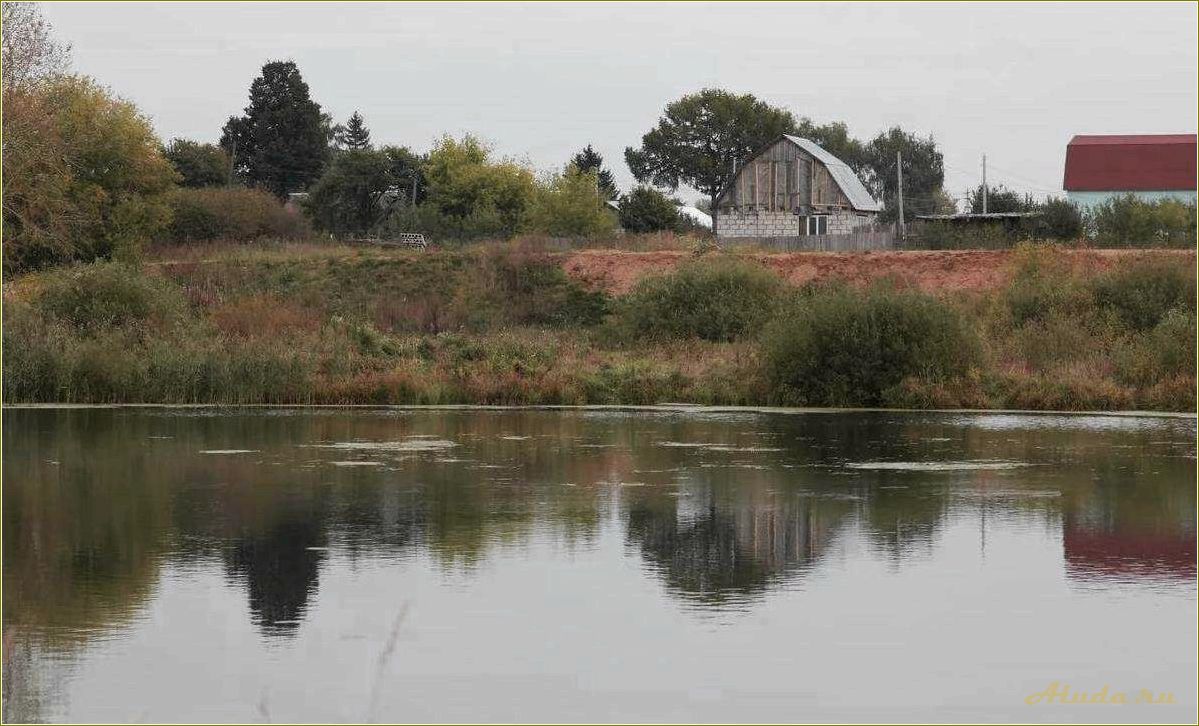 Рыбные просторы Рязанской области — отдых на природе, рыбалка и отличные впечатления