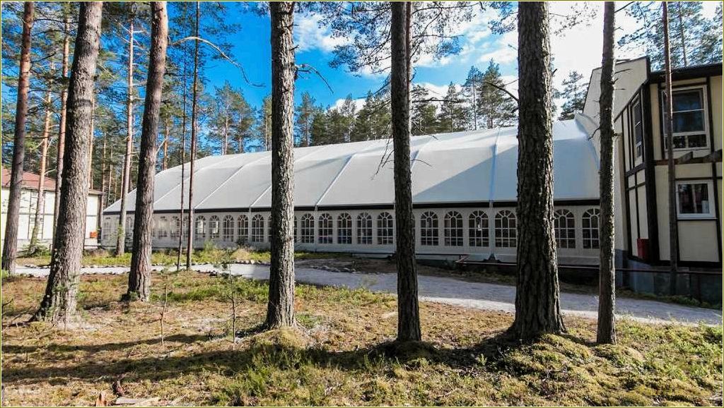 Отдых с детьми в Тамбовской области: лучшие места и развлечения