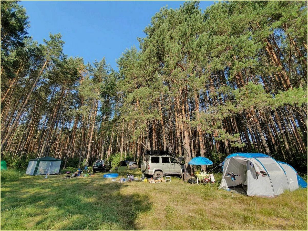 Отдых с палатками в дикой природе Рязанской области — необычные маршруты, удивительные пейзажи и незабываемые впечатления