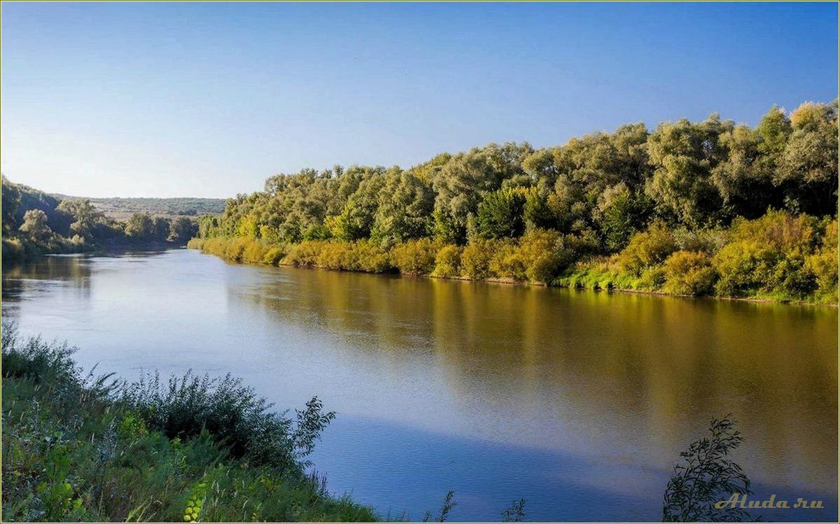 Отдых в Саратовской и Пензенской областях
