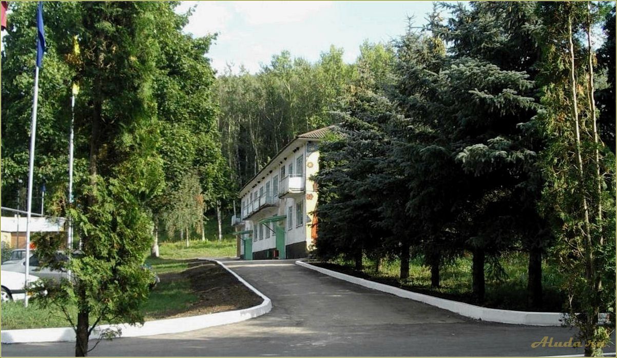 Отдых в Шилово, Тульская область: лучшие места и развлечения