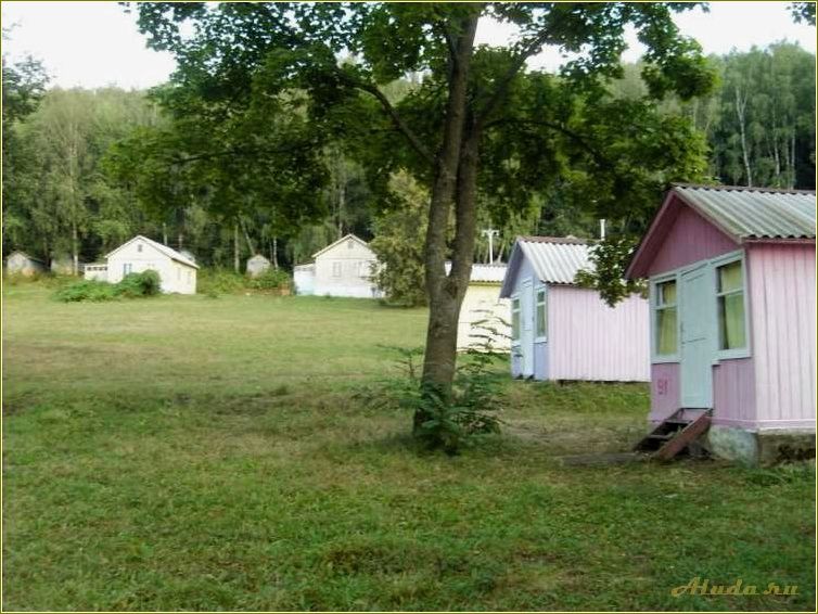 Отдых в Шилово, Тульская область: лучшие места и развлечения