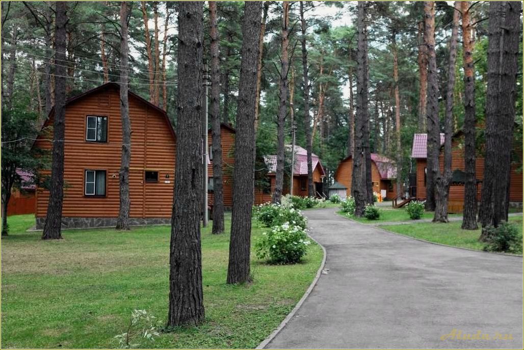 Отдых в пензенской области — прекрасные возможности для отдыха в уютных домах отдыха и пансионатах