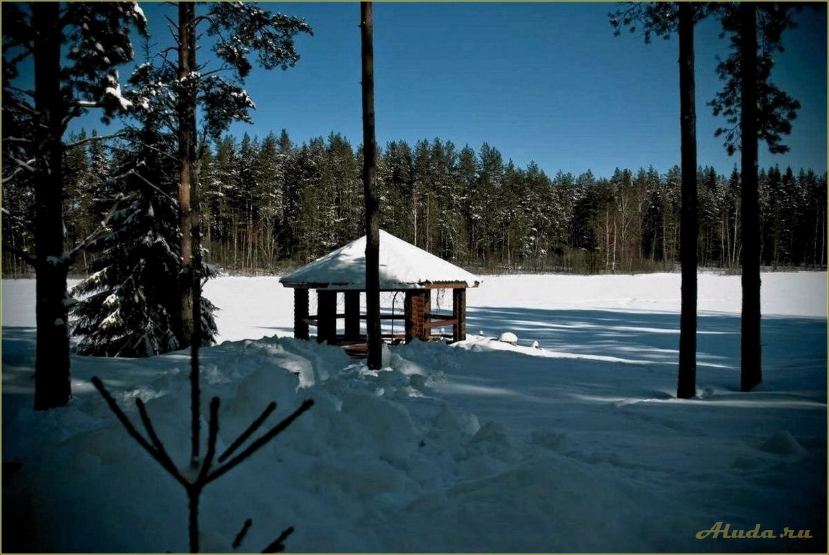 Отдых в Псковской области — все включено для идеального отпуска