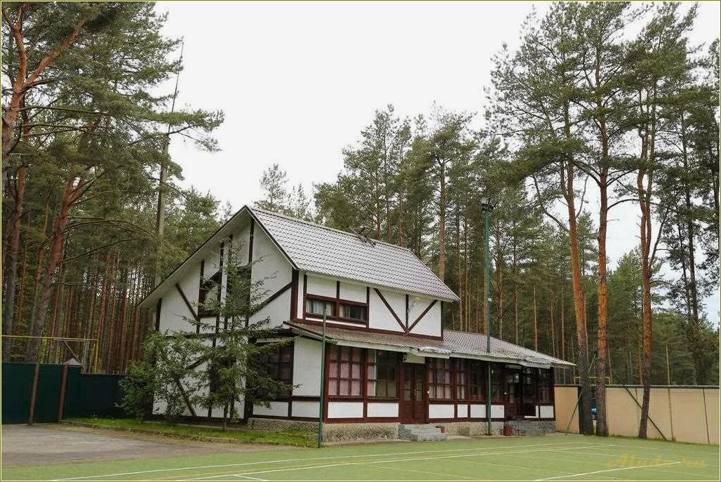 Отдых в Псковской области — все включено для идеального отпуска