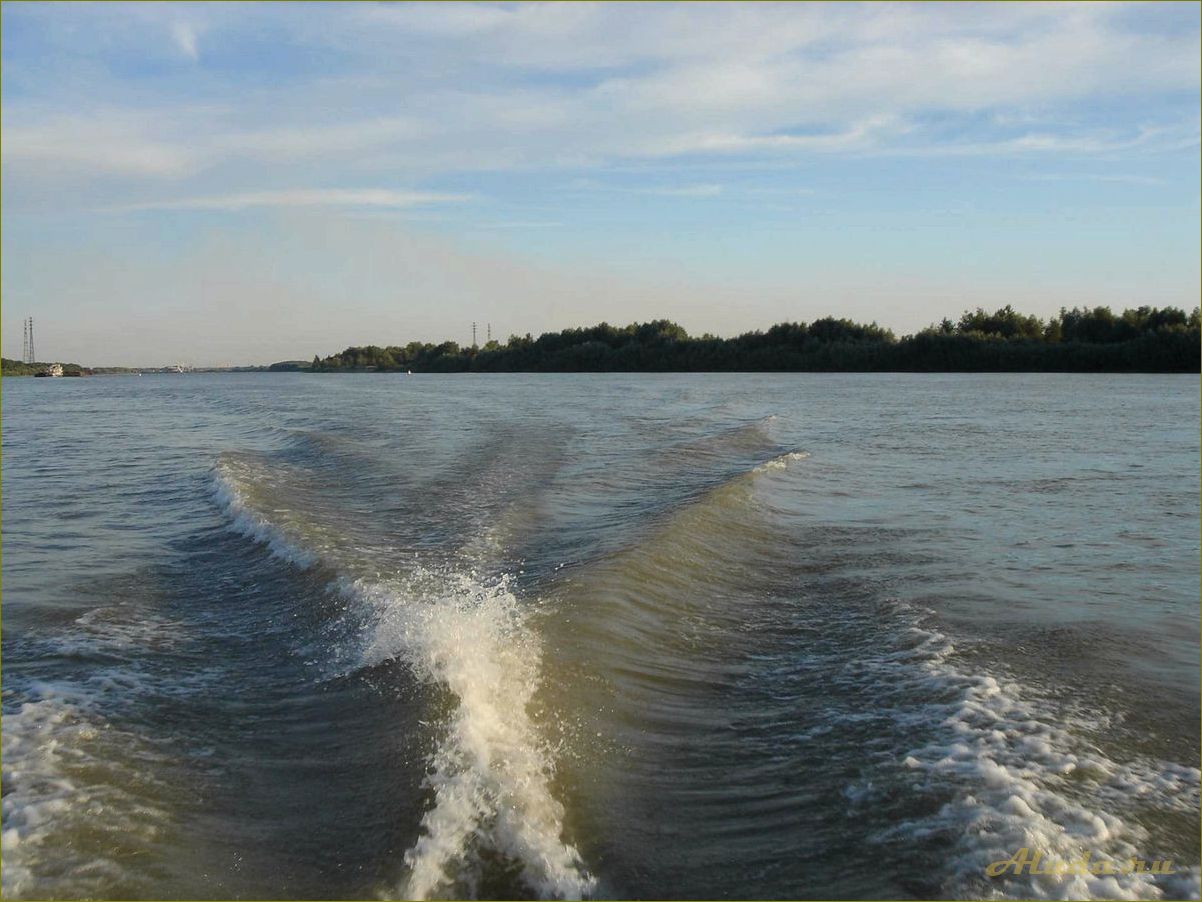 Идеальный отдых в Саргатке Омской области — от природы до активного отдыха