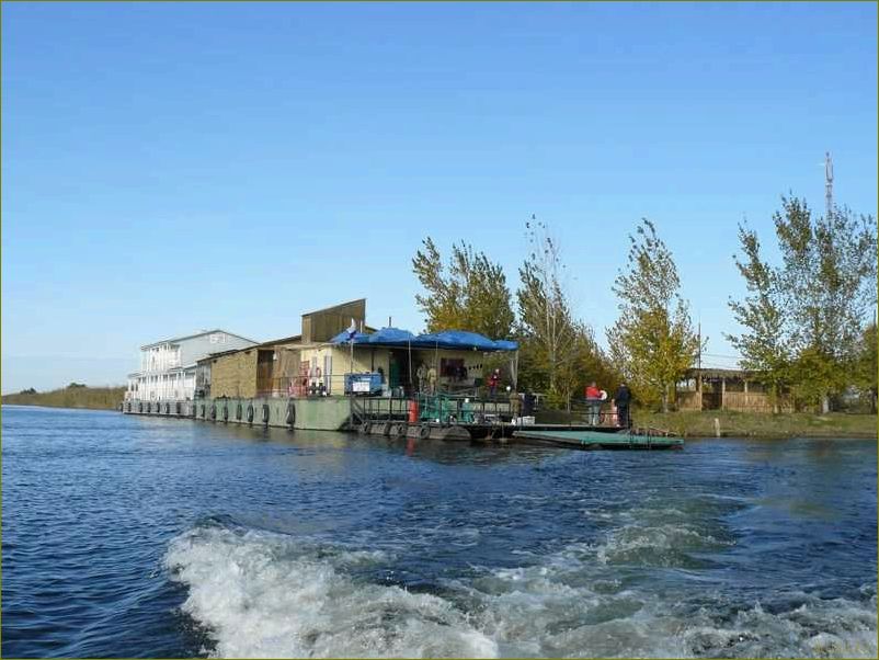 Отдых в тишкове Астраханская область — лучшие места для релаксации и приключений в живописных уголках природы