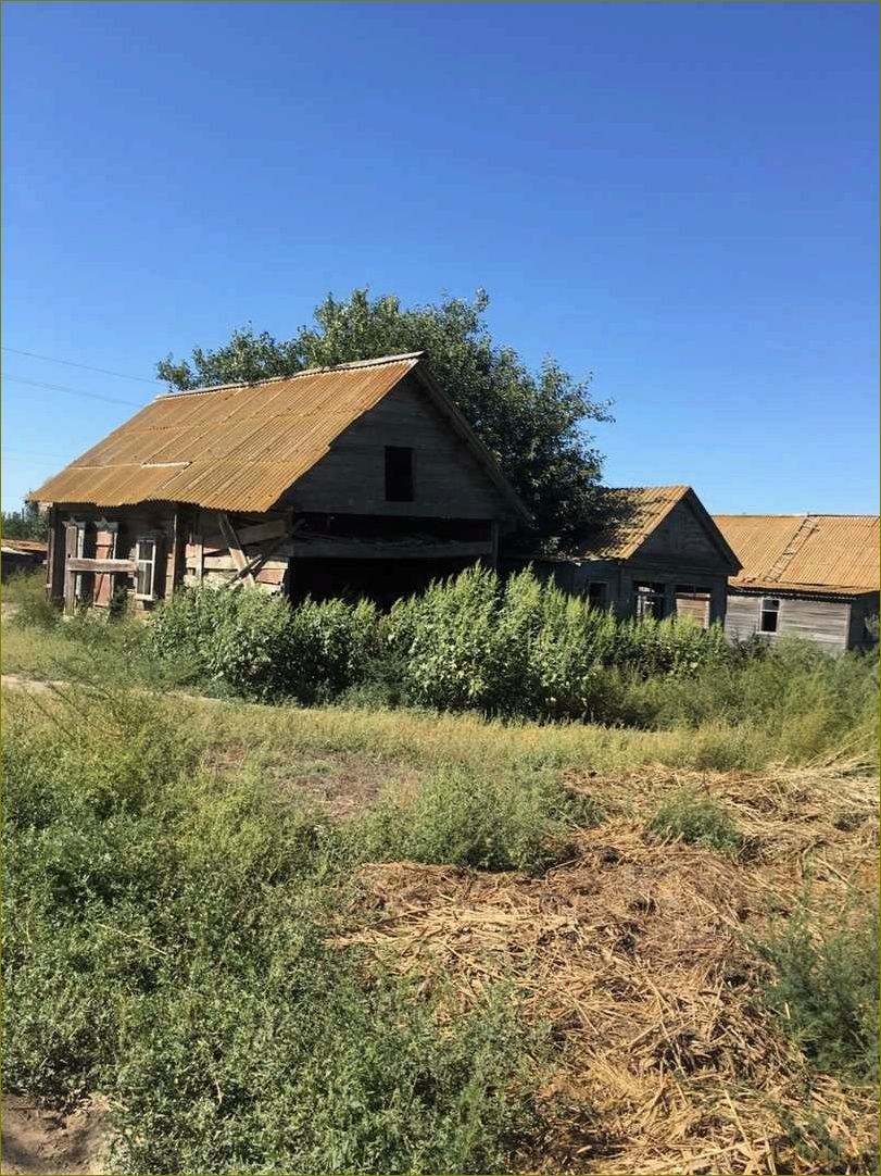 Отдых в тишкове Астраханская область — лучшие места для релаксации и приключений в живописных уголках природы