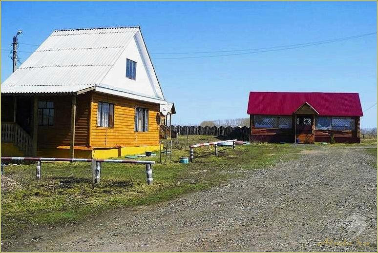 Отдых на базе отдыха в Пензенской области, Кузнецком районе — идеальное место для отдыха и релаксации